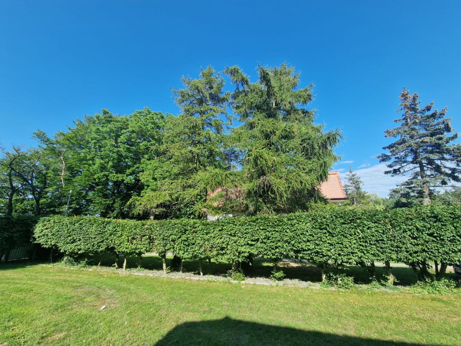 Osrodek Promenada- Domki Jastrzebia Gora Exterior foto